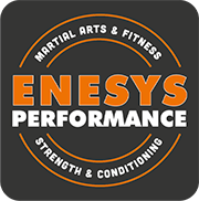 Enesys-Logo